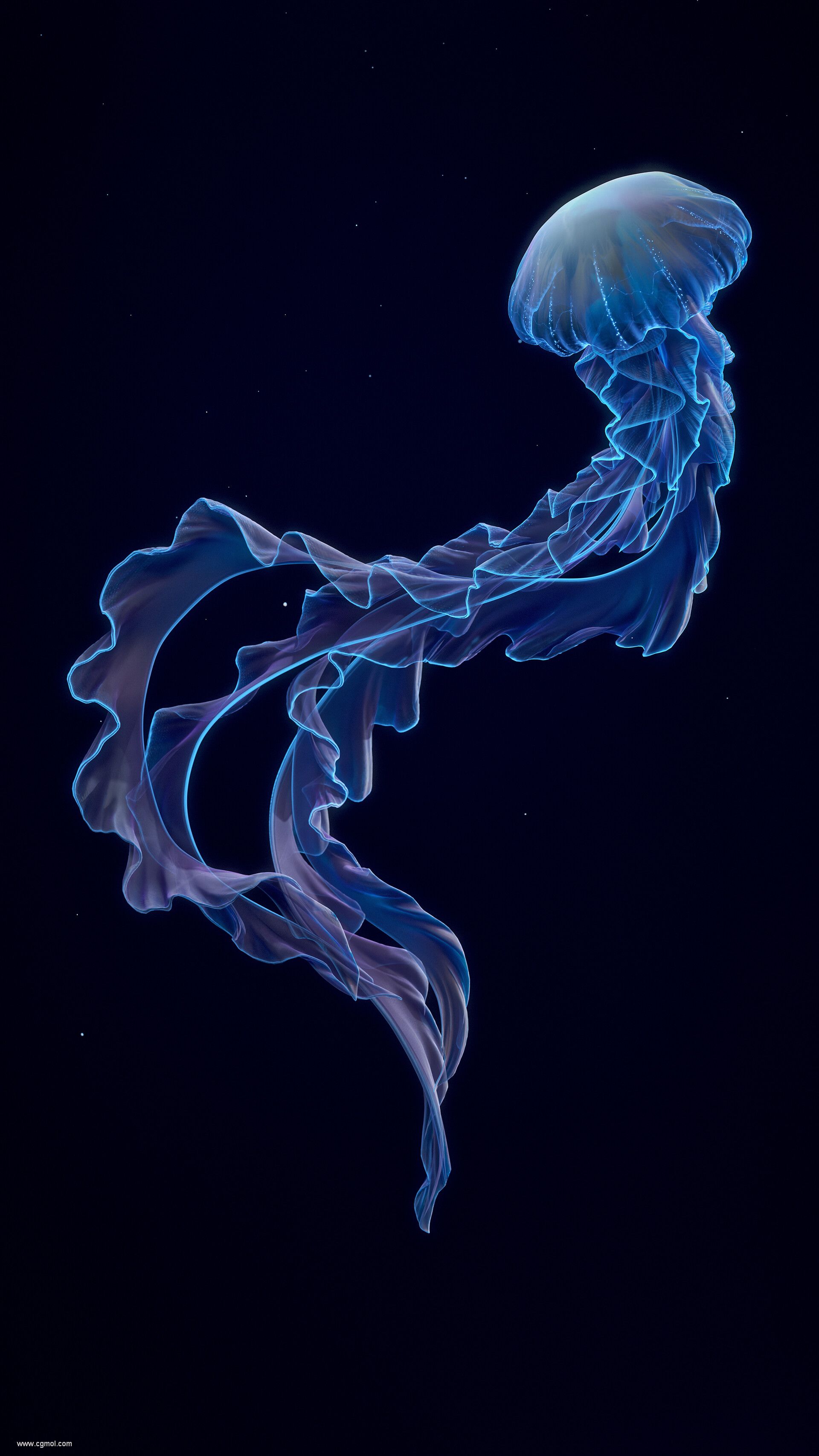 shun-jellyfish05