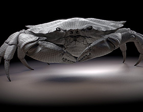 超写实3D螃蟹模型设计