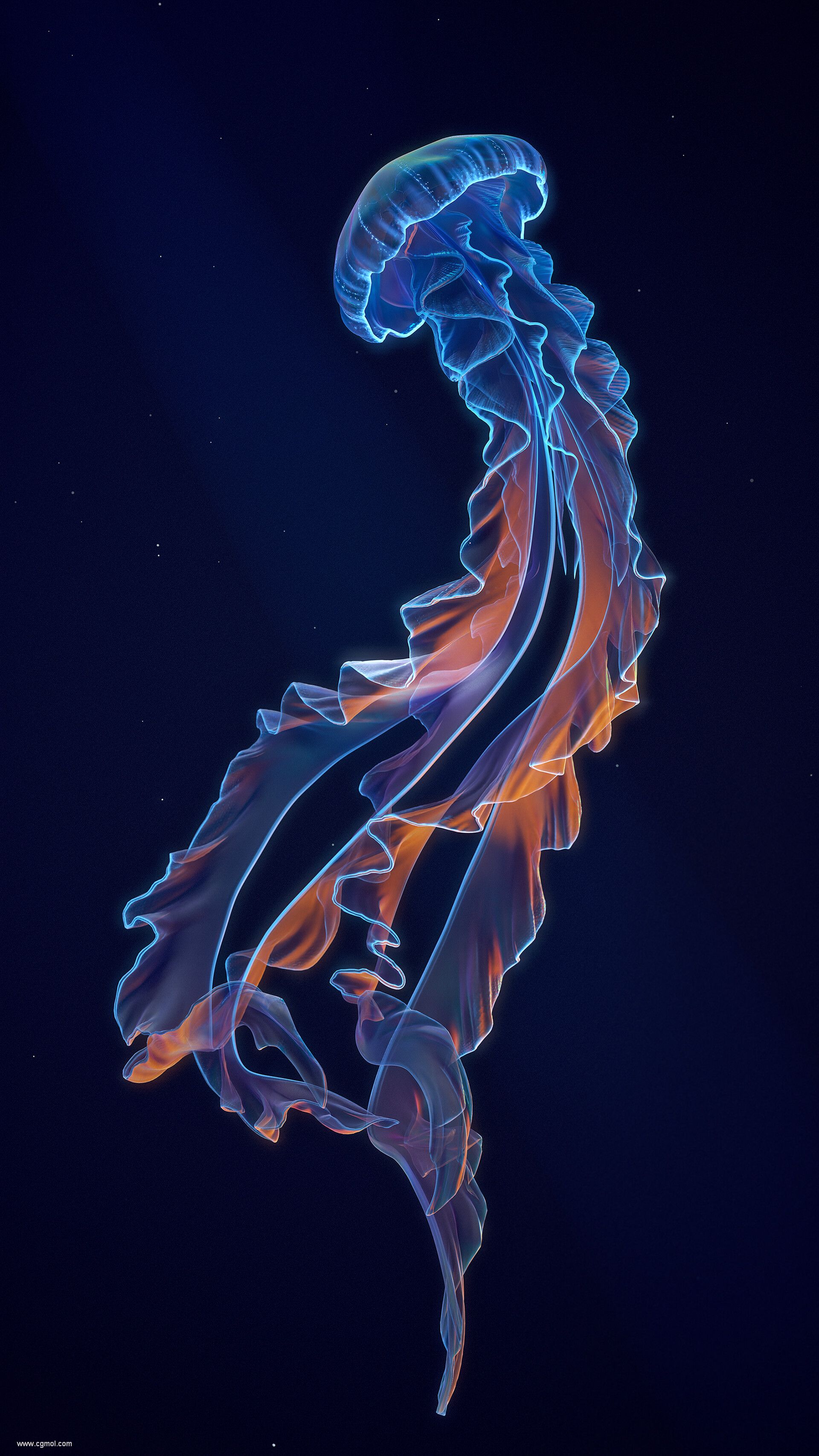 shun-jellyfish06
