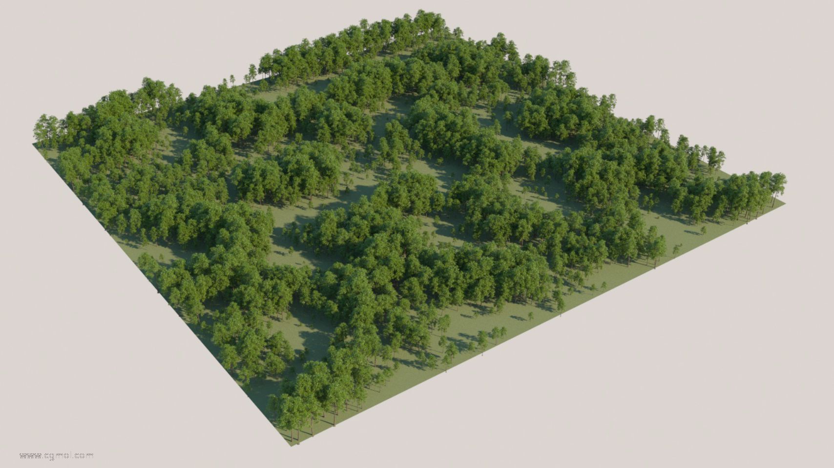 使用CScatter创建的森林，程序噪声作为密度和比例图