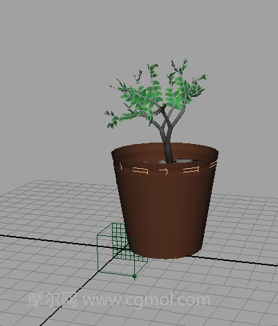 maya怎么制作植物盆栽盆景模型